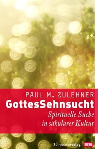 GottesSehnsucht: Spirituelle Suche in säkularer Kultur von Schwabenverlag